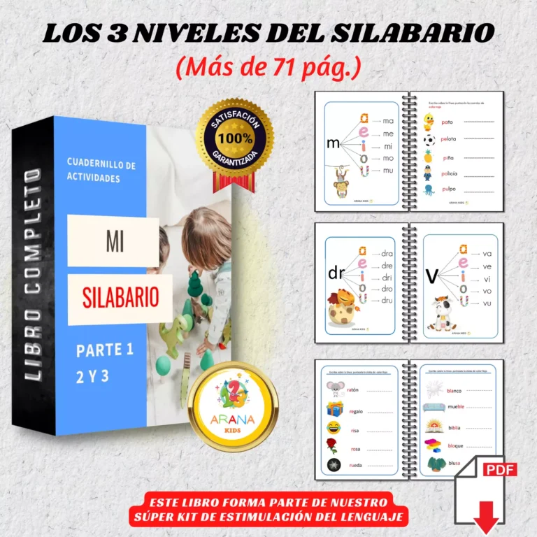 LOS3NIVELESDELSILABARIO